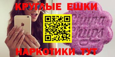 дмт Аргун