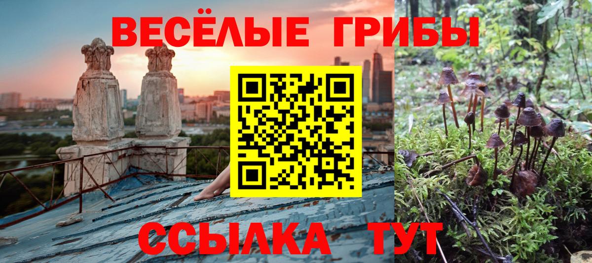 Галлюциногенные грибы MAGIC MUSHROOMS  Галлюциногенные грибы Cubensis  Вход с VPN  Березники 